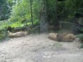IMGP0871.JPG